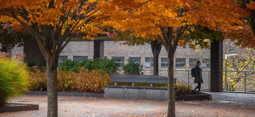 Campus in fall