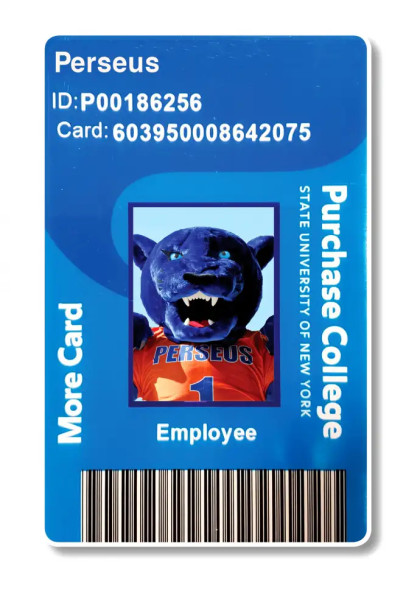Blue Think bubble background with Perseus blue panther mascot in orange Jersey