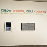What I Saw in my First Trip Back to the NEU: Color and Motion