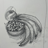 A still life drawing by one of the participants in the Fall 2023 Fundamentals of Drawing Workshop