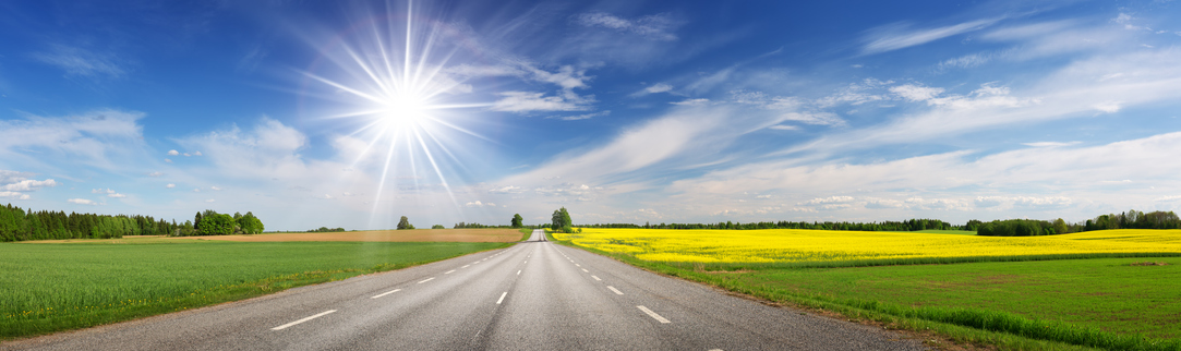 Road panorama on sunny summer day