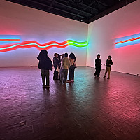 A group of people stand in a dimly lit art gallery with neon light installations in red, green, and blue on the walls, creating colorful r