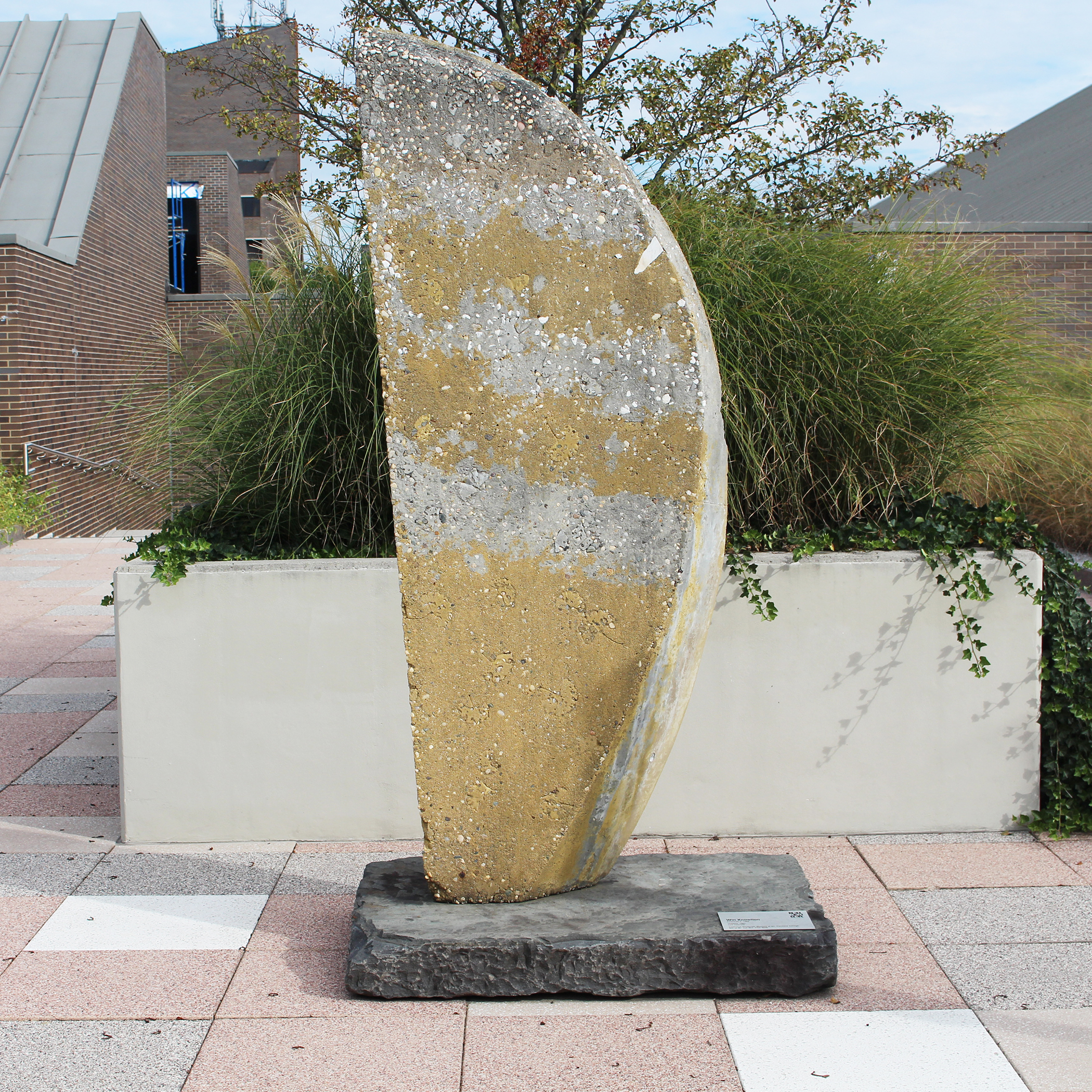 Win Knowlton, Untitled, 1987