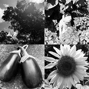 Monochromatic images for a NEU To Do for Kids photography project inspired by the work of Ansel Adams