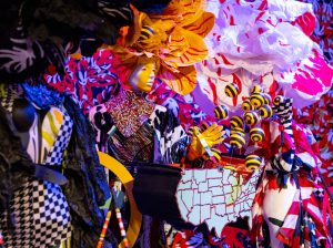    Queer Maximalism x Machine Dazzle 