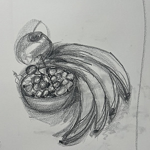 A still life drawing by one of the participants in the Fall 2023 Fundamentals of Drawing Workshop
