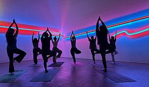 Silhouettes of eight yoga practitioners in the Proscenium gallery