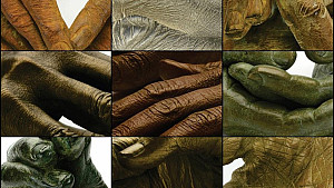Collage of photos of bronze sculptures of hands