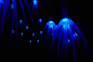 A sea of glowing blue shapes with tentacles float within a dark background