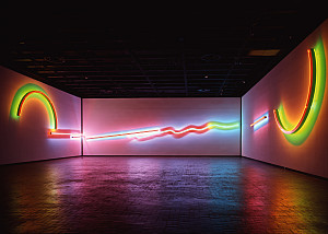 Massive neon sculpture (20' tall and 189' long) installed in a dark museum gallery.