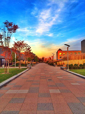 Purchase College, SUNY - walkway by the Neuberger Museum of Art