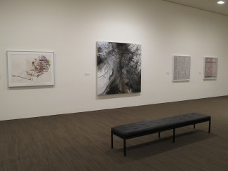Gallery view of Recent Acquisitions at the Neuberger Museum of Art (Spring 2020).