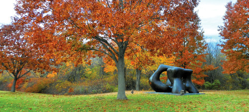 Henry Moore in Fall