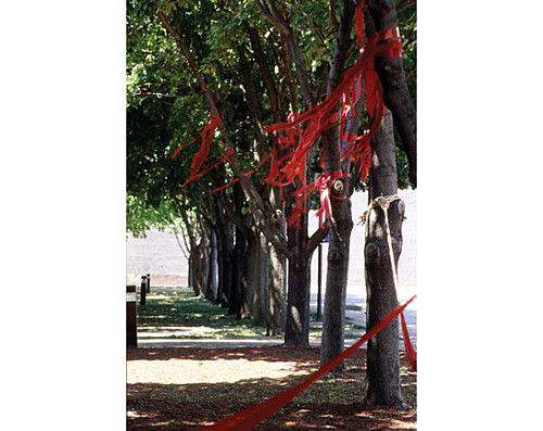 Laura Anderson Barbata’s Nuestra historia no se encuentra en un libro [Our history Is Not Found in a Book]  001