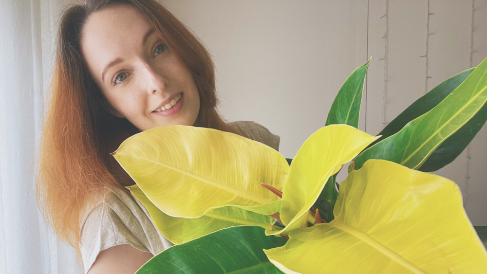 Jessica DeAngelis holds one of her 75 houseplants.