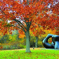 Large Two Forms statue by Henry Moore during autumn