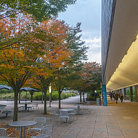    Fall on the Mall 