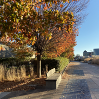 Purchase College Campus Mall in the fall