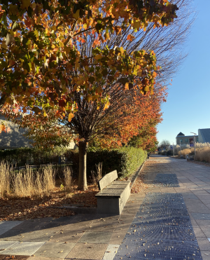 Purchase College Campus Mall in the fall