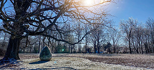 Egg shaped sculpture made of stone bricks sits under the branch of a tree with a dusting of snow on top and all around.