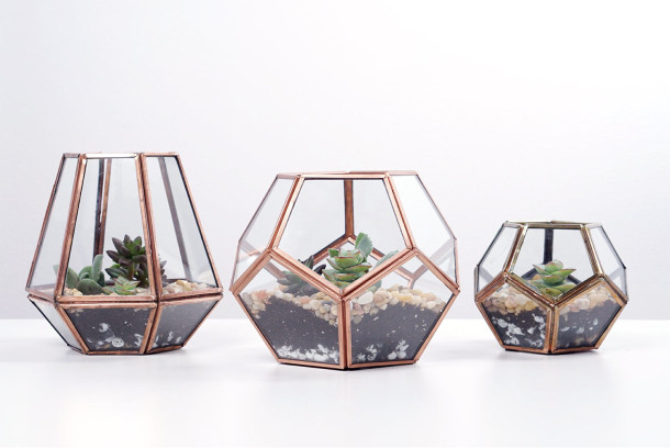 A final assembled terrarium in metal and glass casing.