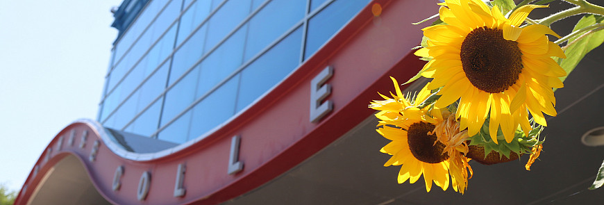 Spring 2024 Newsletter Header