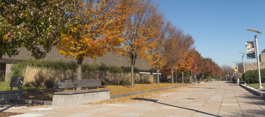 Campus in Fall