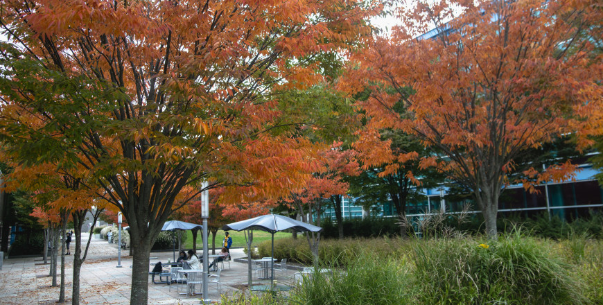 Fall on the Mall