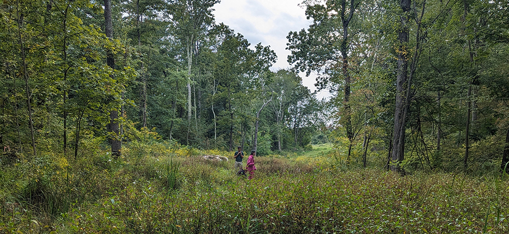 Students in the field during BioBlitz.