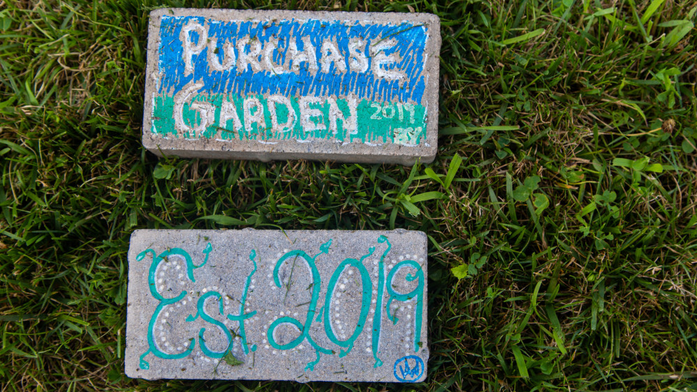 Painted bricks from the Purchase garden
