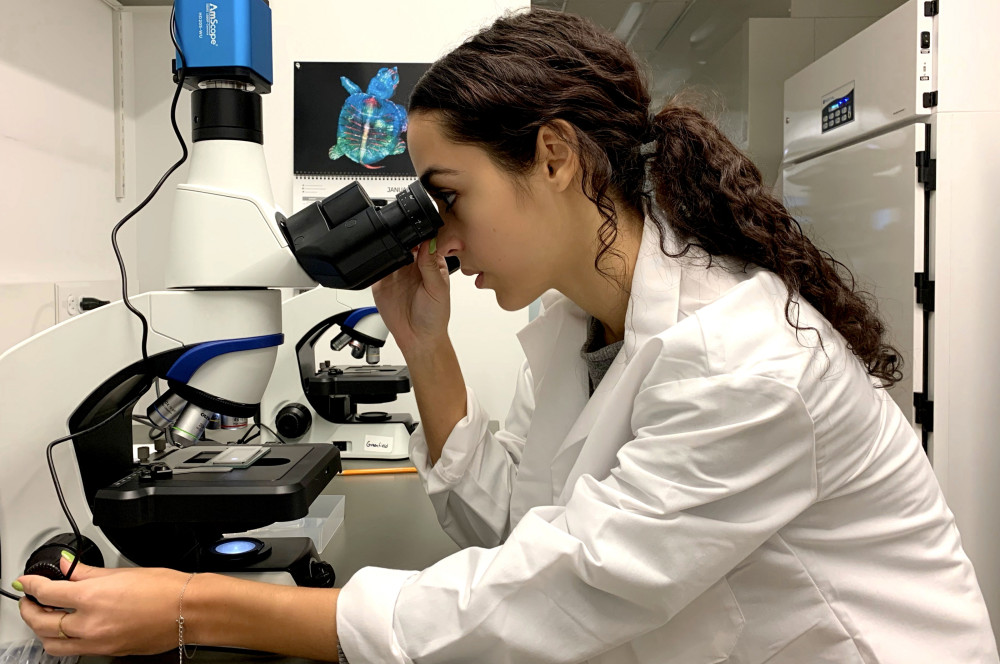 Georgie Humphries '19 at work in the lab.