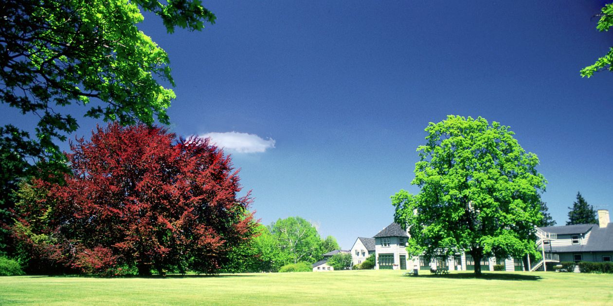 The Memory Of An Elephant Magazine Purchase College