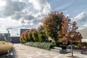Purchase College Campus in fall