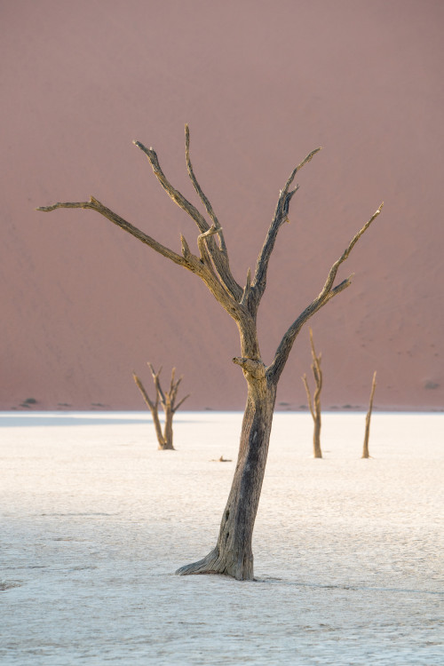 Namibia-deadvlei-3