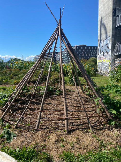 Norway Study Abroad • Magazine • Purchase College
