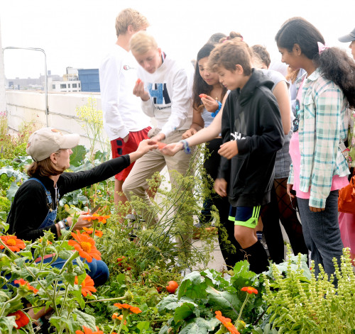 April McIlwaine '19 at Brooklyn Grange Rooftop Farm City Growers
