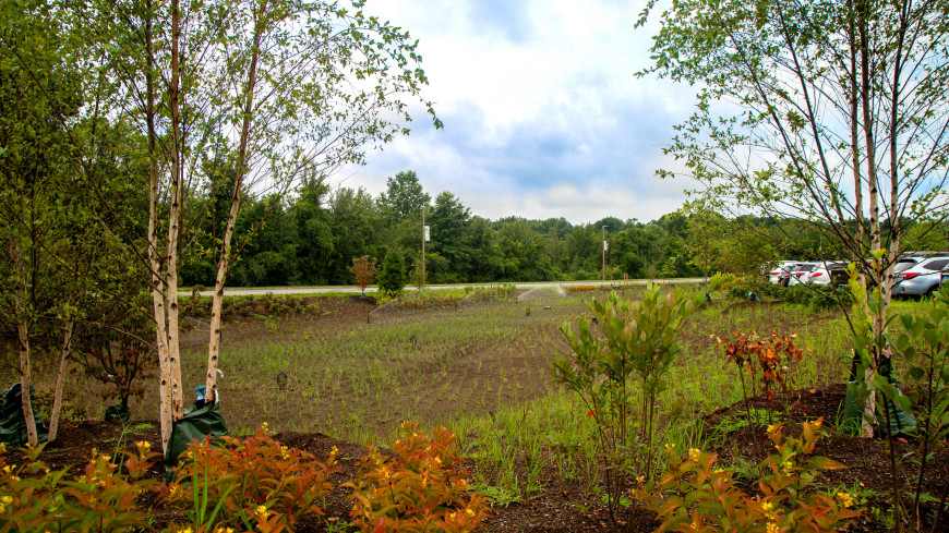 Bioswale in West 1