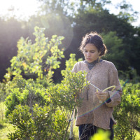 Student working in the field