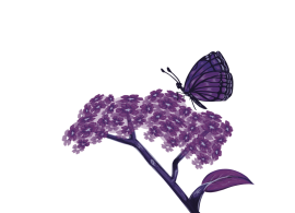 purple illustration of a butterfly on heliotrope flower