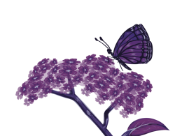 purple illustration of a butterfly on heliotrope flower