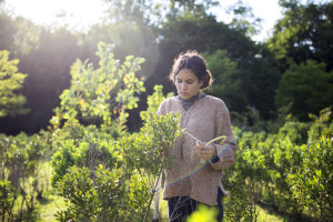 Student working in the field