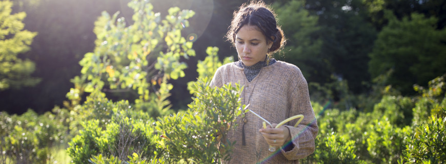 Student working in the field