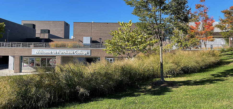 Blue sky, buildings in the distance with Welcome to Purchase College sign, grass, shrubs, trees in foreground