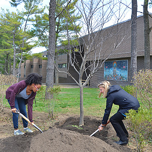 Student and staff member digging ground to plant a tree in front of residence building. 