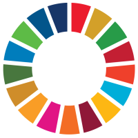 UN SDG Wheel icon
