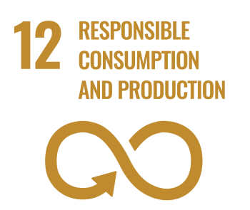 12 Responsible Consumption and Production