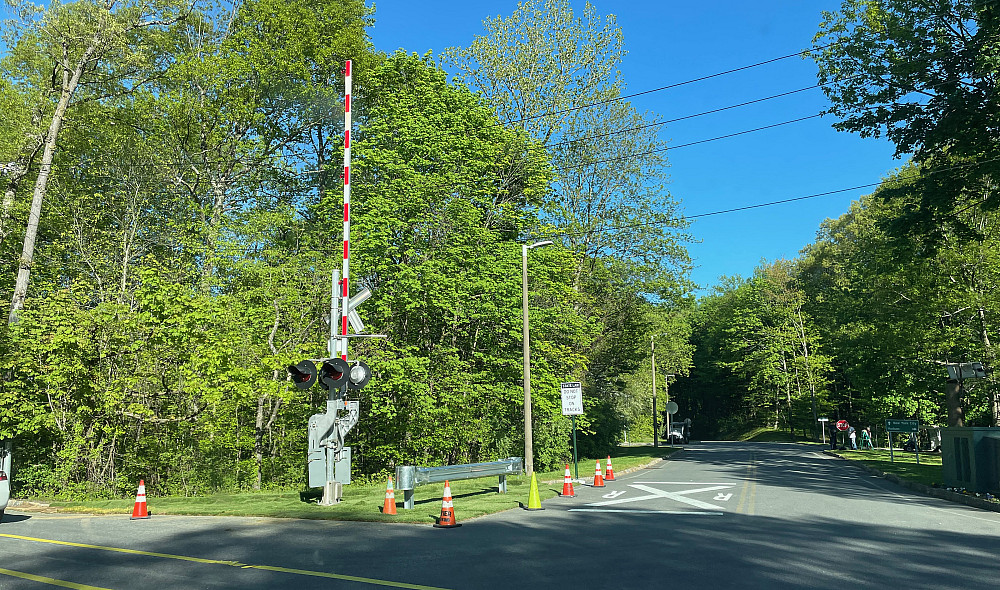 Road lined with trees with a railroad crossing gate under a blue sky.