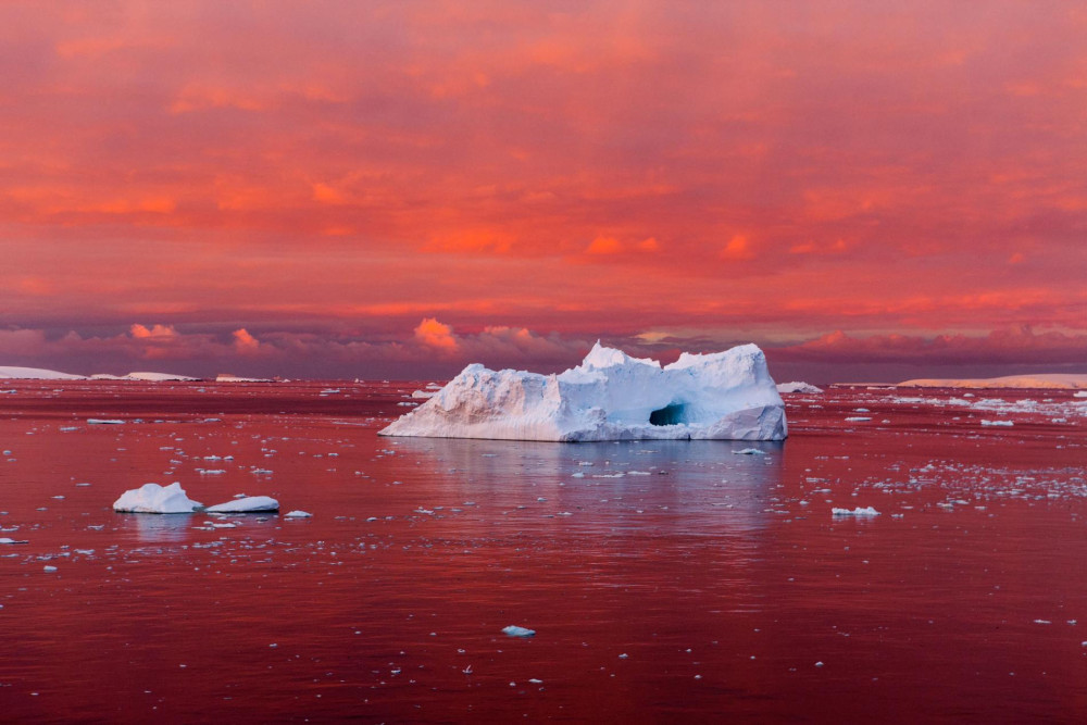 Camille Seaman '92 The Lemaire Channel off the west coast of the Antarctic Peninsula