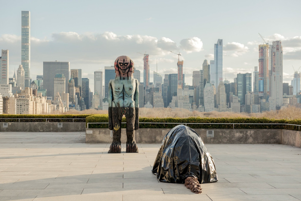 Huma Bhaba We Come in Peace on the roof of the Metropolitan Museum of Art