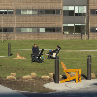 Purchase is Princeton Review Top 200 Best Value Colleges (students on the Quad in Adirondack chairs)